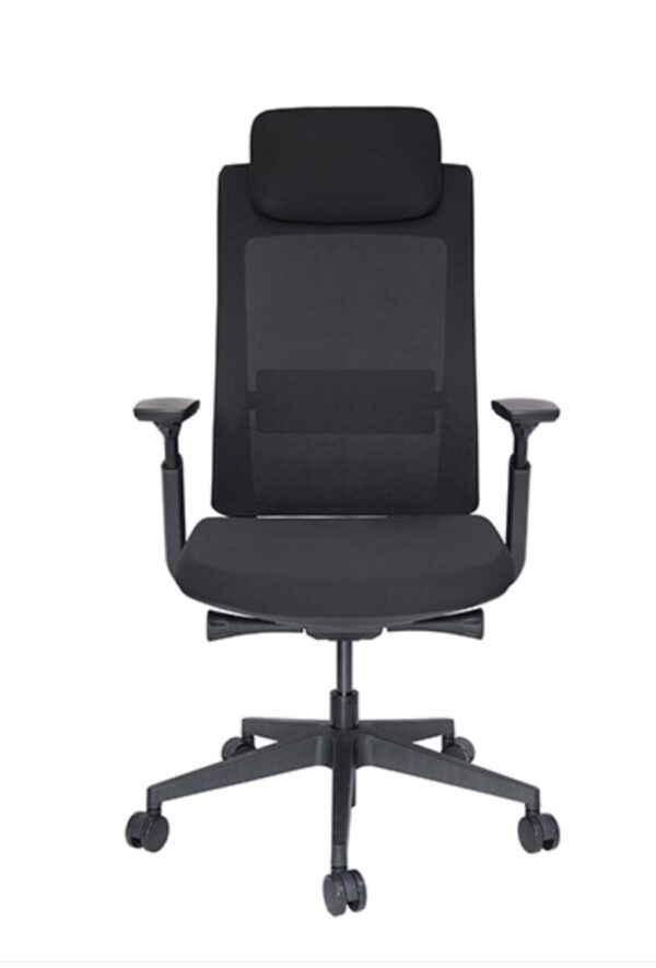 Silla Ejecutiva QUO OHE-805 Negro