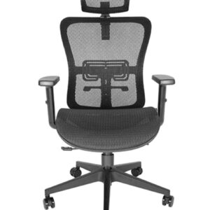 Silla Ejecutiva DRACO OHE-605 Negro