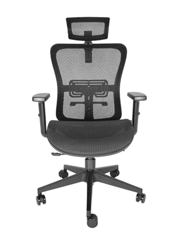 Silla Ejecutiva DRACO OHE-605 Negro
